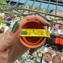 Load image into Gallery viewer, Terracotta Plant Pot 4.5cm