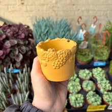 Load image into Gallery viewer, Fruity Plant Pot