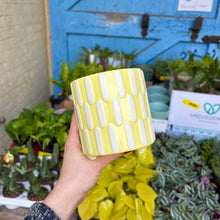 Load image into Gallery viewer, Jolie Plant Pot (4 Colours)