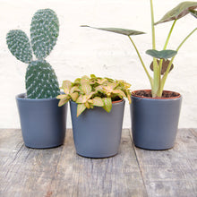 Load image into Gallery viewer, Ceramic Plant Pot (Blue & Grey)