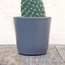 Load image into Gallery viewer, Ceramic Plant Pot (Blue & Grey)