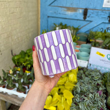 Load image into Gallery viewer, Jolie Plant Pot (4 Colours)
