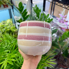 Load image into Gallery viewer, Waves Plant Pot Medium (8 colours)