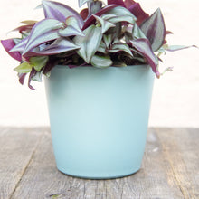 Load image into Gallery viewer, Ceramic Plant Pot (Blue & Grey)