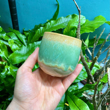 Load image into Gallery viewer, Waves Plant Pot (8 colours)