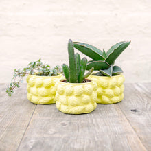 Load image into Gallery viewer, Lemon Plant Pot