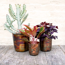 Load image into Gallery viewer, Metallic Contrast Plant Pot