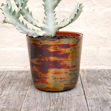 Load image into Gallery viewer, Metallic Contrast Plant Pot
