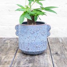 Load image into Gallery viewer, Shay Ceramic Plant Pot