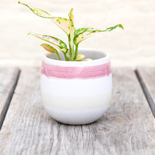 Load image into Gallery viewer, Waves Plant Pot (8 colours)