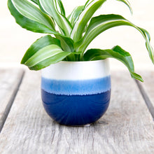 Load image into Gallery viewer, Waves Plant Pot (8 colours)
