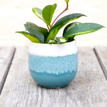 Load image into Gallery viewer, Waves Plant Pot (8 colours)