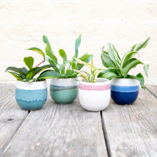Load image into Gallery viewer, Waves Plant Pot (8 colours)