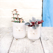 Load image into Gallery viewer, Croucherli: Handmade Ceramic Plant Pots