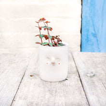 Load image into Gallery viewer, Croucherli: Handmade Ceramic Plant Pots