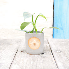 Load image into Gallery viewer, Croucherli: Handmade Ceramic Plant Pots