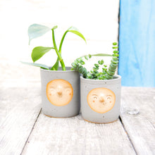 Load image into Gallery viewer, Croucherli: Handmade Ceramic Plant Pots