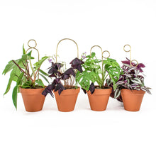 Load image into Gallery viewer, Set of 4 Mini Plant Stakes - Gold