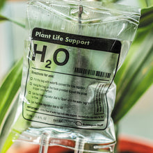 Load image into Gallery viewer, Plant Life Support - Houseplant Watering Device