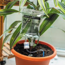 Load image into Gallery viewer, Plant Life Support - Houseplant Watering Device