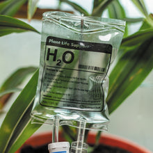 Load image into Gallery viewer, Plant Life Support - Houseplant Watering Device