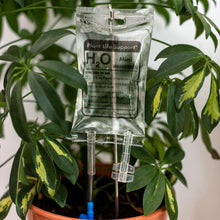 Load image into Gallery viewer, Mini Plant Life Support - Houseplant Watering Device