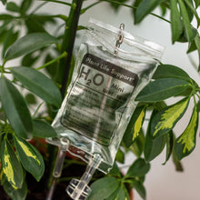 Load image into Gallery viewer, Mini Plant Life Support - Houseplant Watering Device