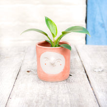 Load image into Gallery viewer, Croucherli: Handmade Ceramic Plant Pots