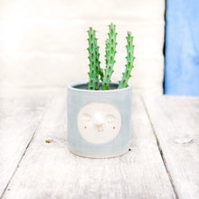 Load image into Gallery viewer, Croucherli: Handmade Ceramic Plant Pots