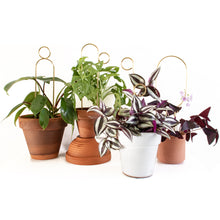 Load image into Gallery viewer, Set of 4 Mini Plant Stakes - Gold