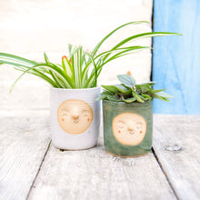 Load image into Gallery viewer, Croucherli: Handmade Ceramic Plant Pots