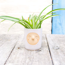 Load image into Gallery viewer, Croucherli: Handmade Ceramic Plant Pots