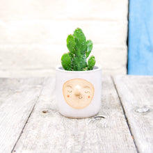 Load image into Gallery viewer, Croucherli: Handmade Ceramic Plant Pots