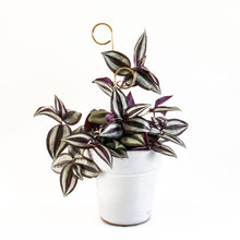 Load image into Gallery viewer, Set of 4 Mini Plant Stakes - Gold