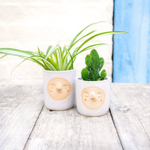 Load image into Gallery viewer, Croucherli: Handmade Ceramic Plant Pots