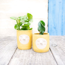 Load image into Gallery viewer, Croucherli: Handmade Ceramic Plant Pots
