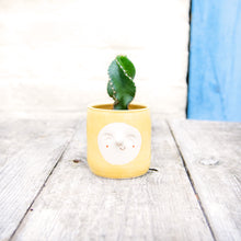 Load image into Gallery viewer, Croucherli: Handmade Ceramic Plant Pots