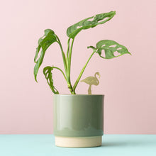 Load image into Gallery viewer, Plant Animal - Flamingo