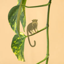 Load image into Gallery viewer, Plant Animal - Tamarin