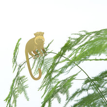 Load image into Gallery viewer, Plant Animal - Tamarin