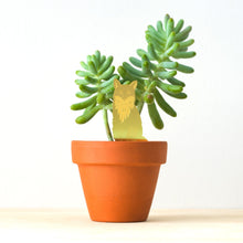 Load image into Gallery viewer, Plant Animal - Fox