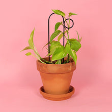 Load image into Gallery viewer, Set of 4 Mini Plant Stakes - Black