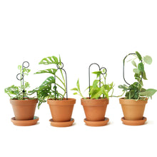 Load image into Gallery viewer, Set of 4 Mini Plant Stakes - Black