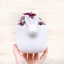 Load image into Gallery viewer, Ceramic White Rabbit Pot