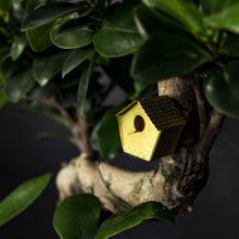 Load image into Gallery viewer, Tiny Birdhouse For Your Plants