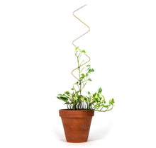 Load image into Gallery viewer, Golden Plant Stake