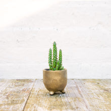 Load image into Gallery viewer, St Tropez Gold Pot (3 sizes)