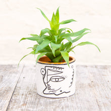 Load image into Gallery viewer, Abstract Face Plant Pot (3 sizes)