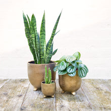 Load image into Gallery viewer, St Tropez Gold Pot (3 sizes)