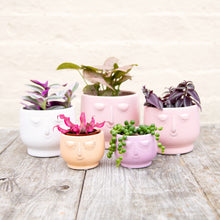 Load image into Gallery viewer, Happy Face Plant Pots